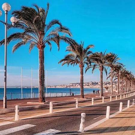 Vue 50m Parking Lejlighed Nice